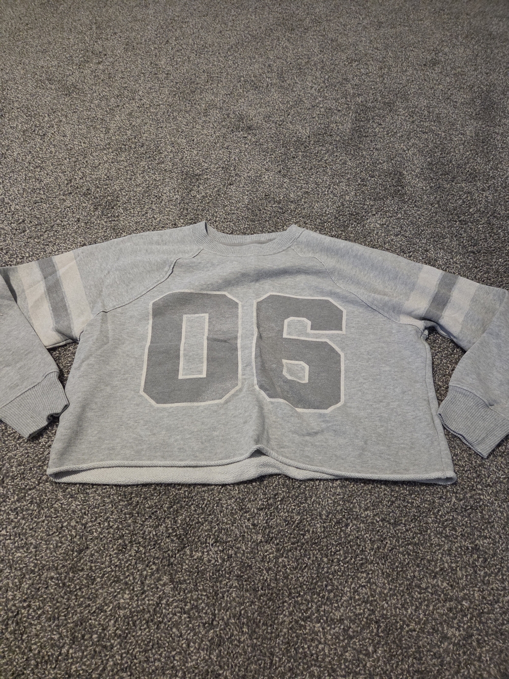 aerie Light Gray Crewneck Sweatshirt with '06' Graphic